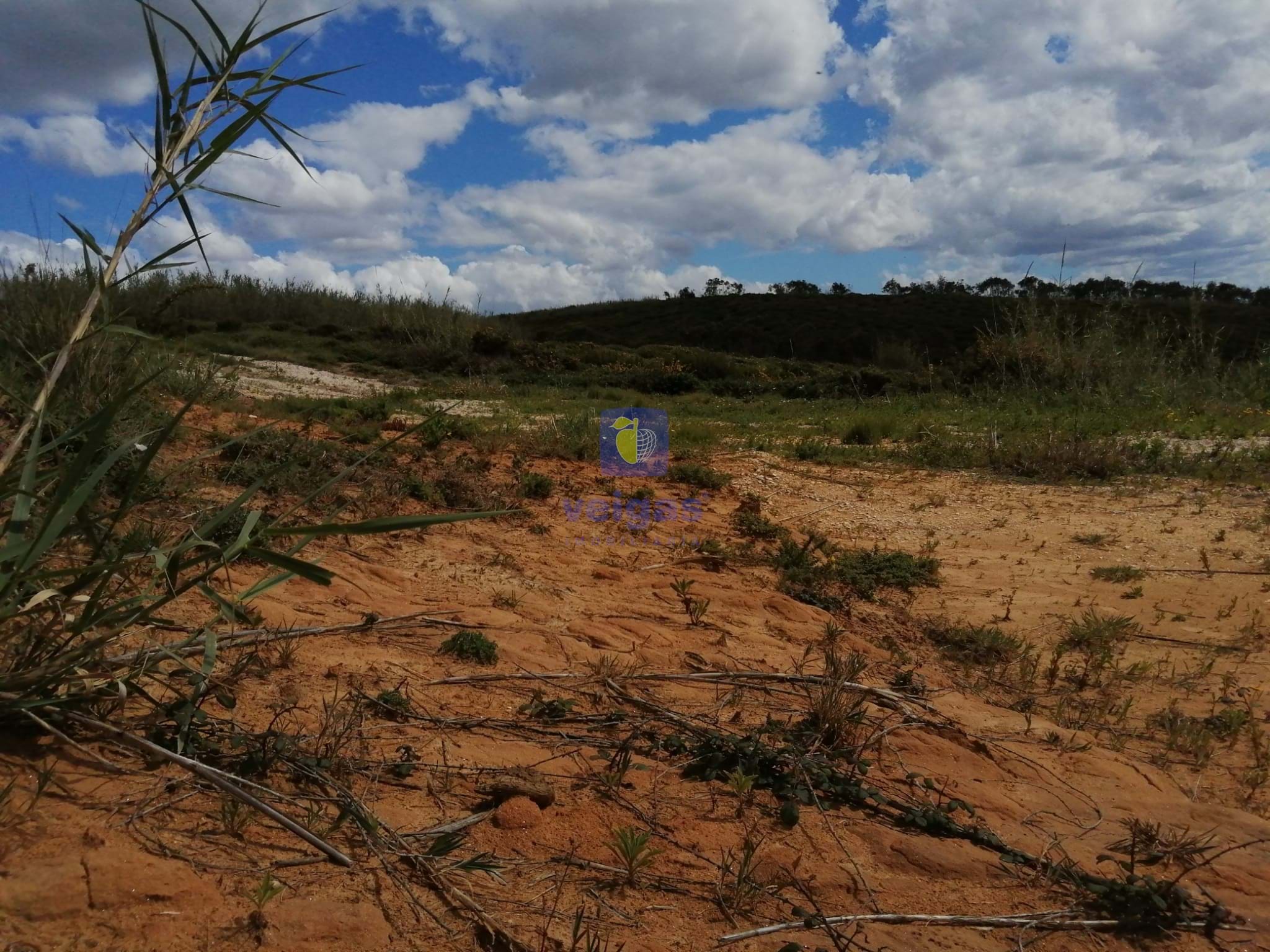 Terreno R�stico T0 - Santo Onofre, Caldas da Rainha, Leiria - Miniatura: 5/15