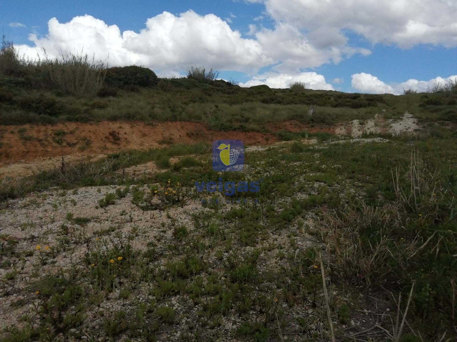 Terreno R�stico T0 - Santo Onofre, Caldas da Rainha, Leiria - Miniatura: 10/15