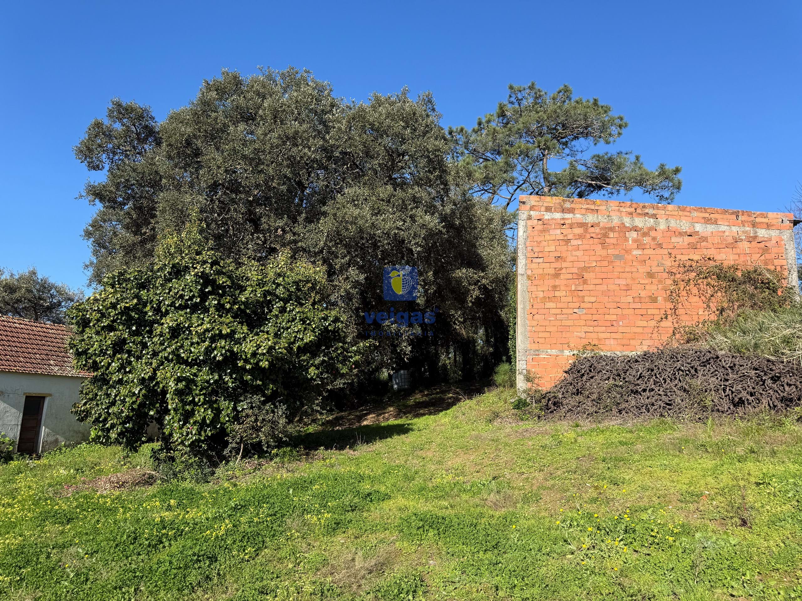 Quinta T4 - Usseira, �bidos, Leiria - Miniatura: 8/38