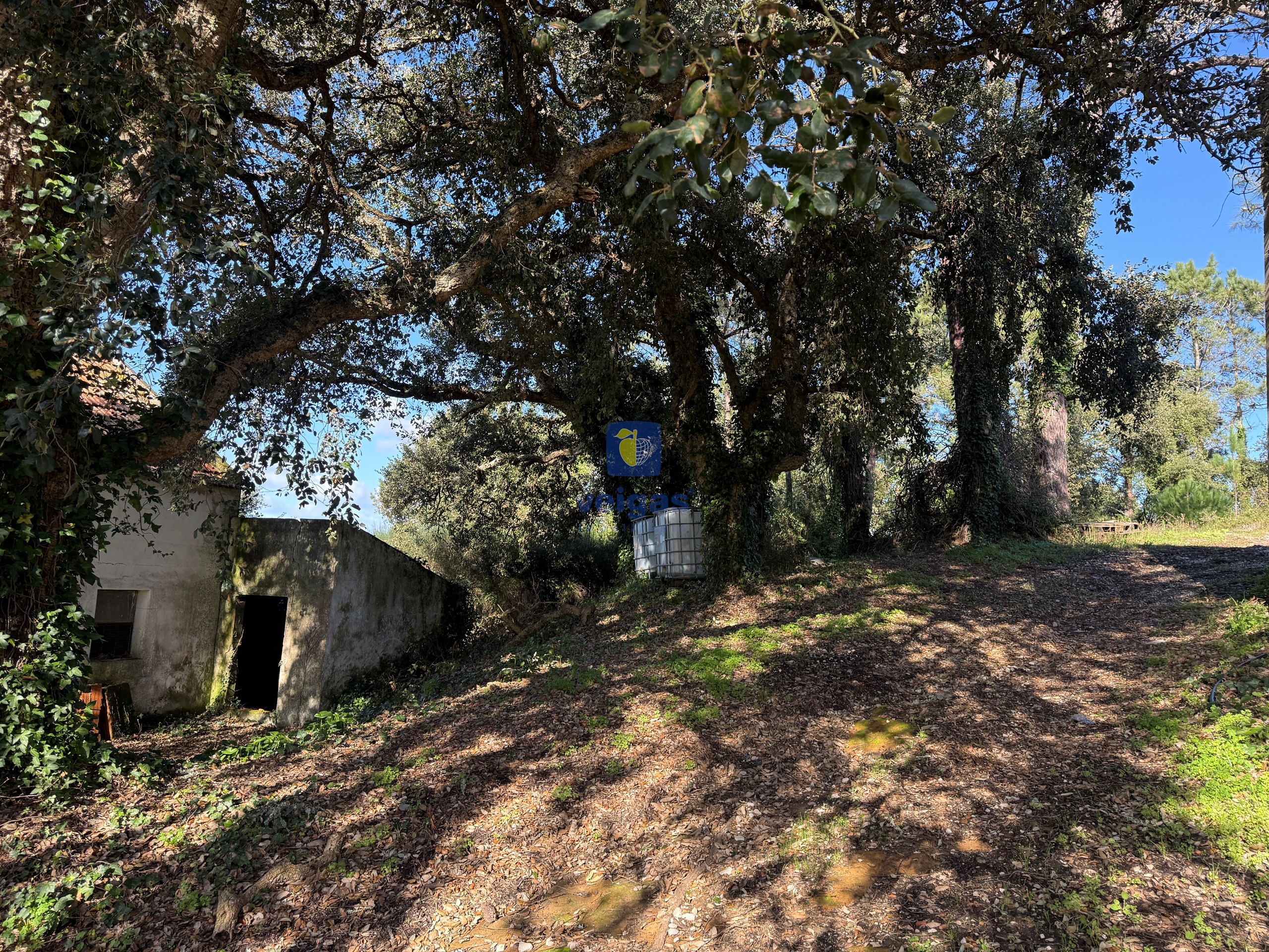Quinta T4 - Usseira, �bidos, Leiria - Miniatura: 15/38