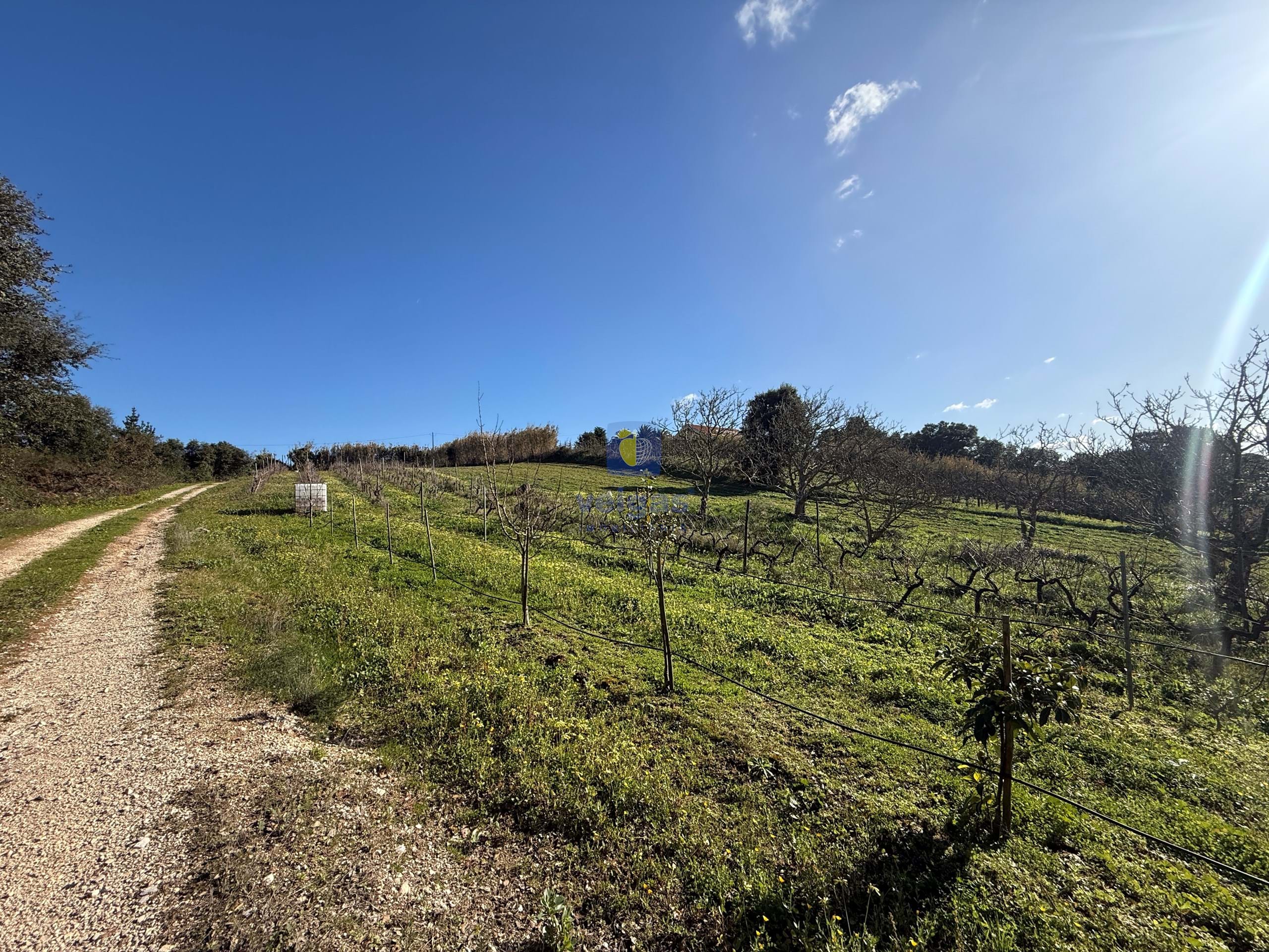 Quinta T4 - Usseira, �bidos, Leiria - Miniatura: 17/38