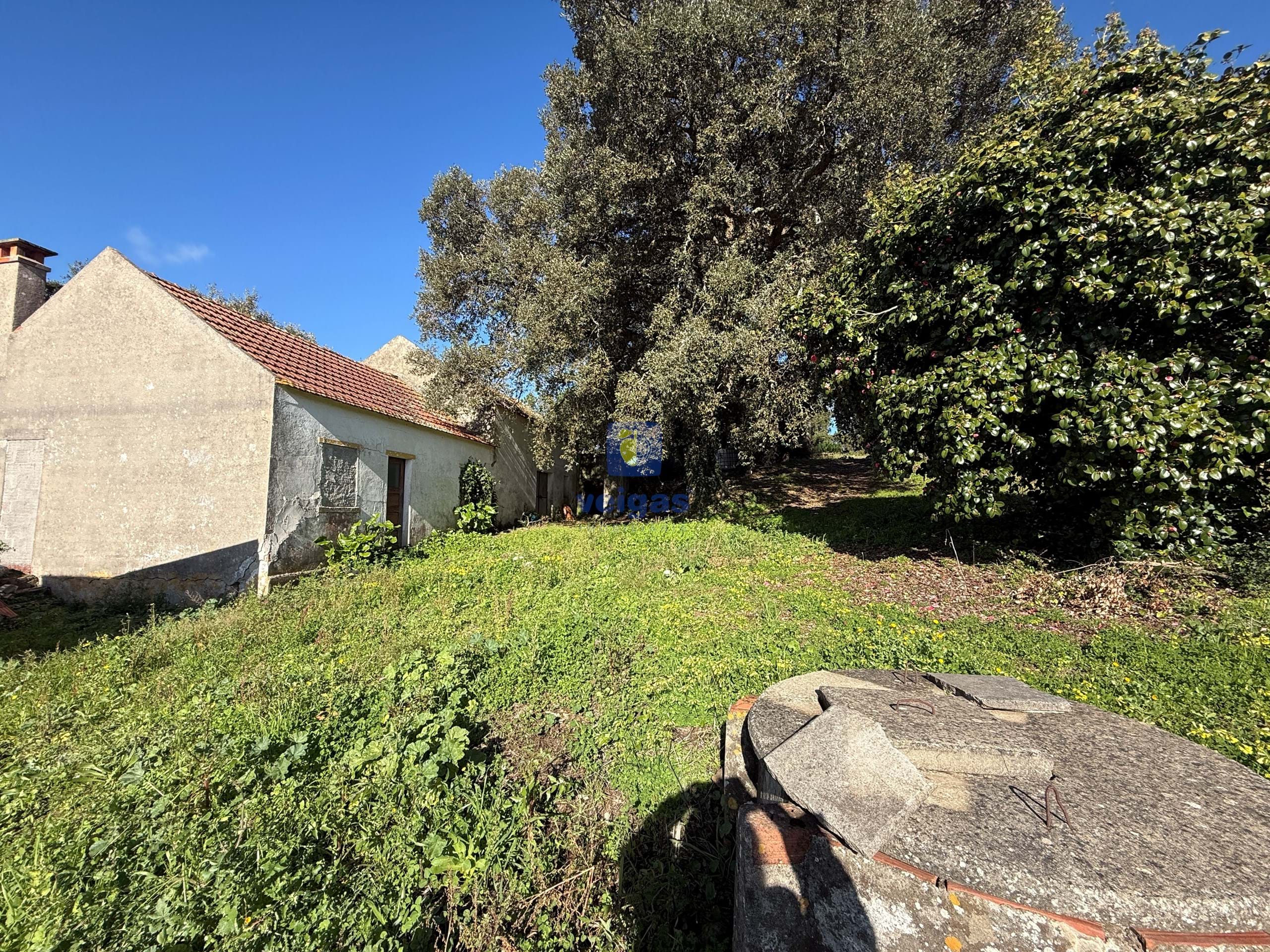 Quinta T4 - Usseira, �bidos, Leiria - Miniatura: 18/38