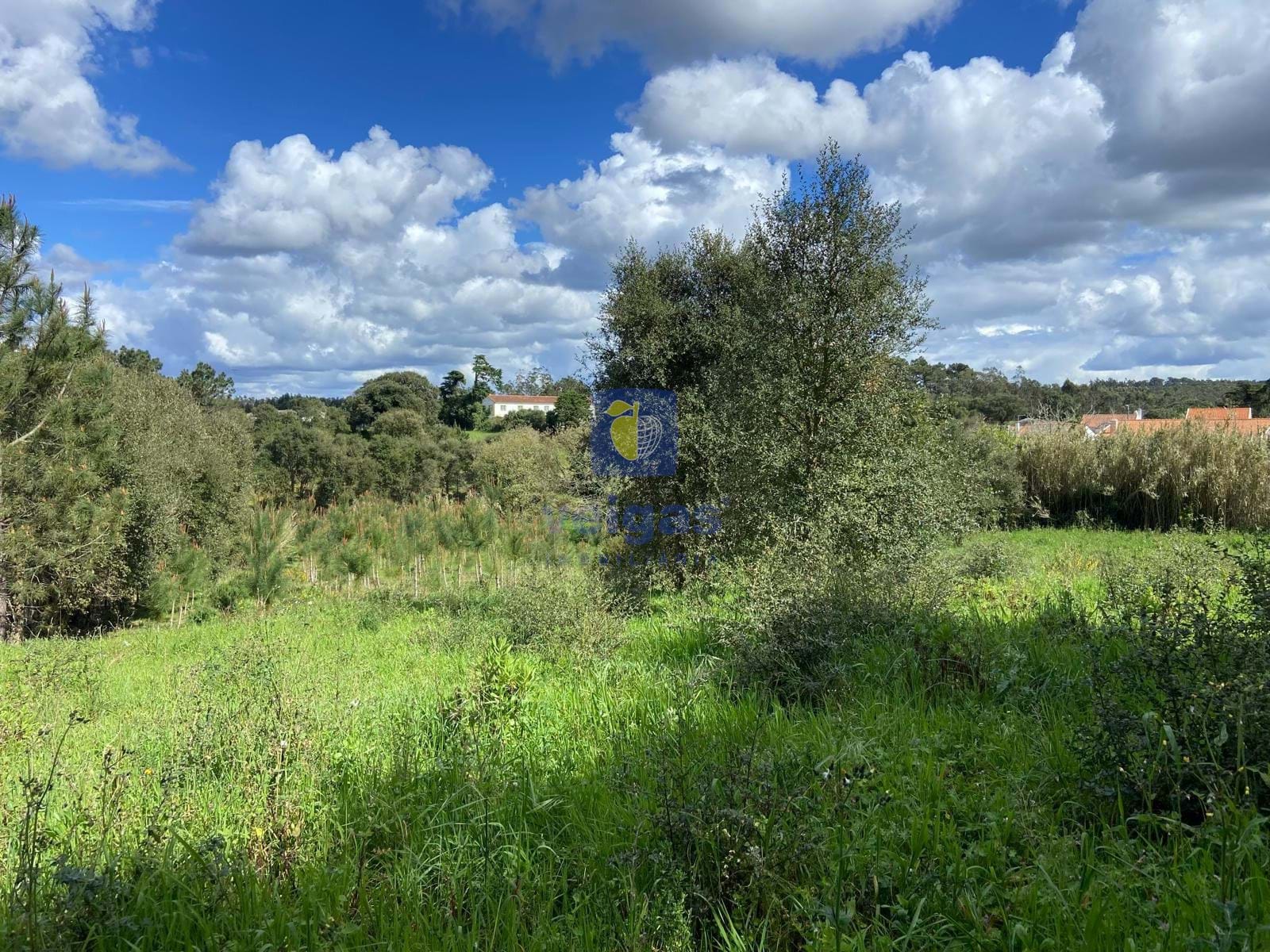 Terreno R�stico T0 - Salir de Matos, Caldas da Rainha, Leiria - Miniatura: 6/17