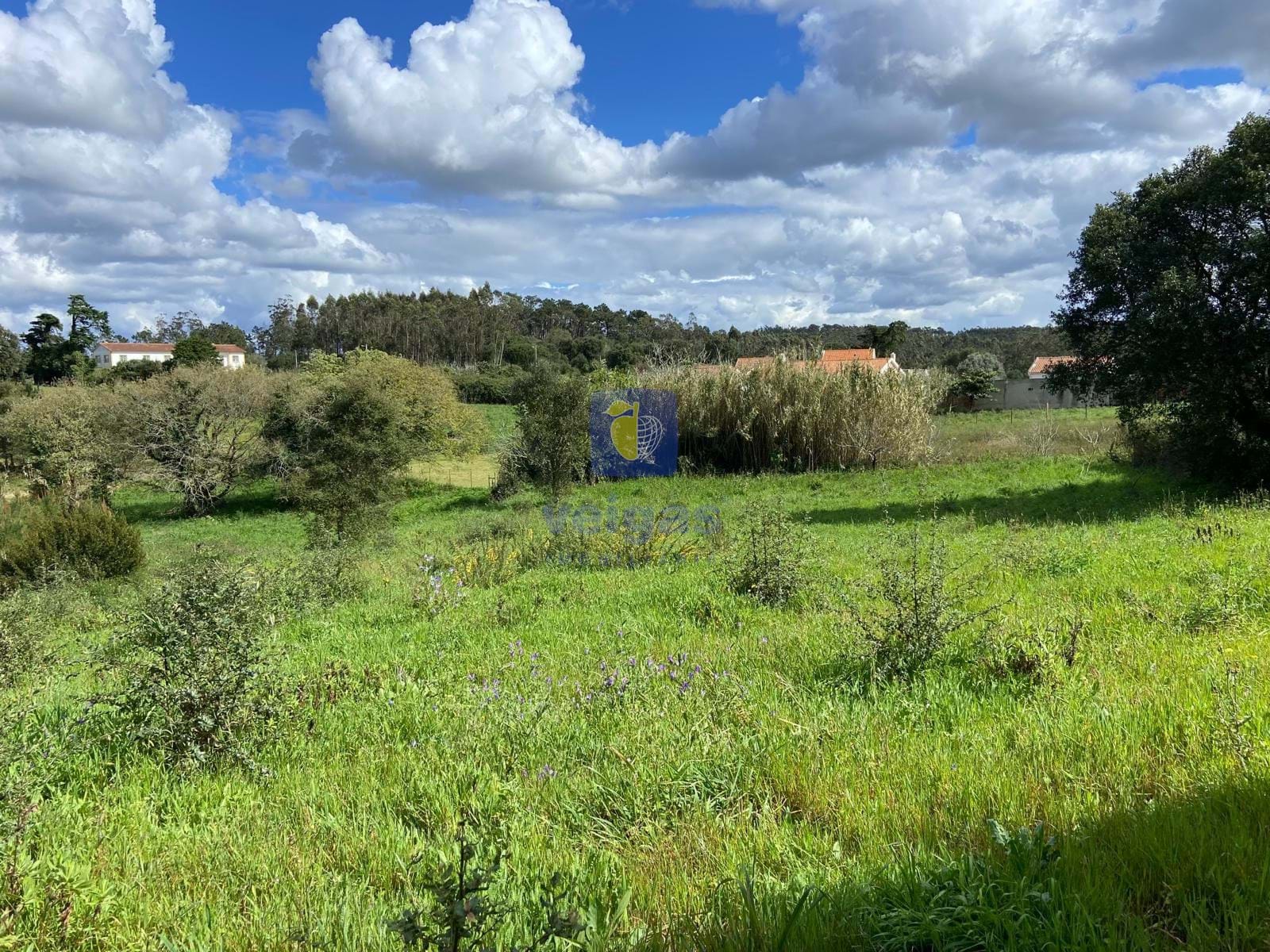 Terreno R�stico T0 - Salir de Matos, Caldas da Rainha, Leiria - Miniatura: 7/17