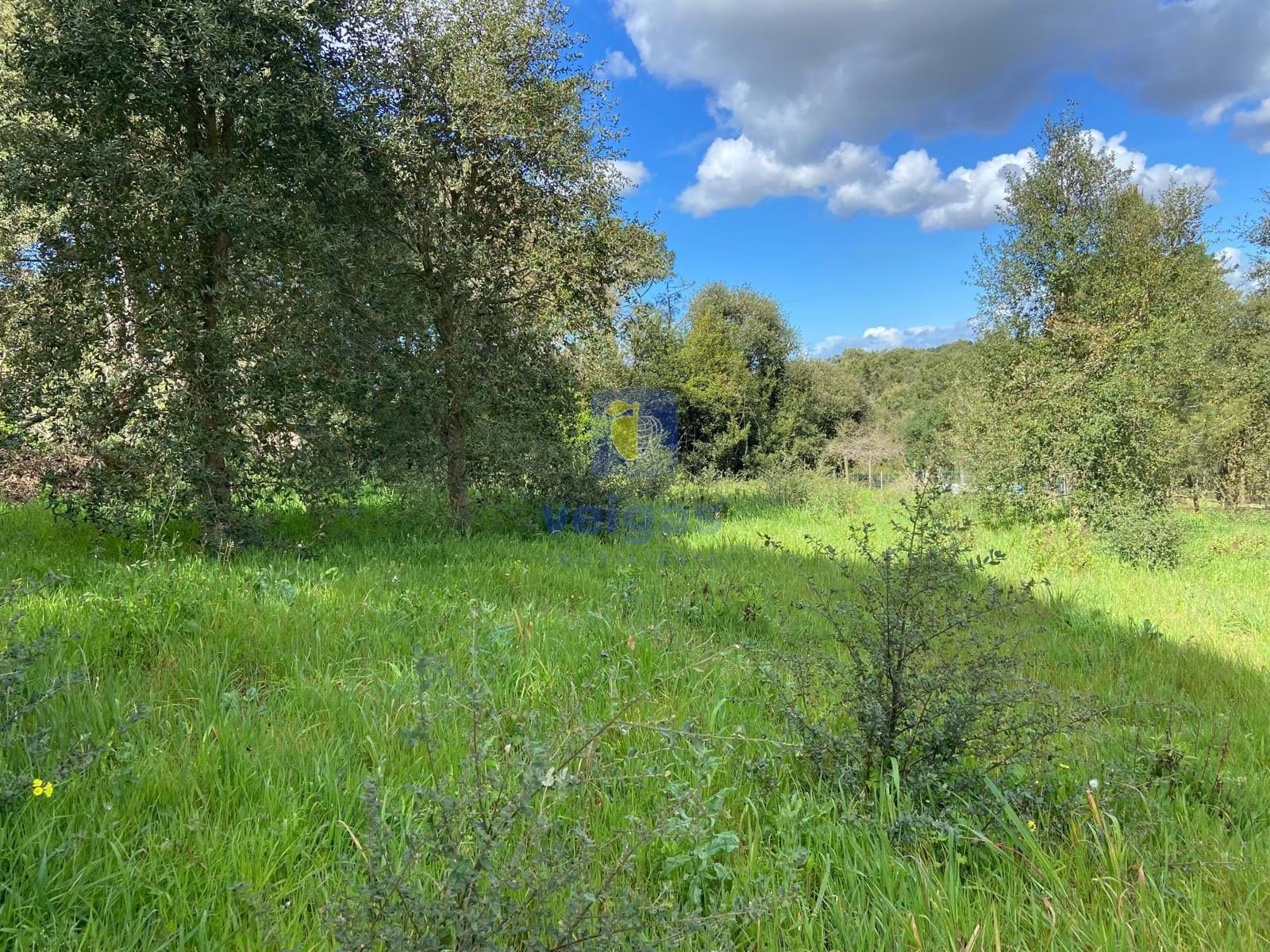 Terreno R�stico T0 - Salir de Matos, Caldas da Rainha, Leiria - Miniatura: 12/17