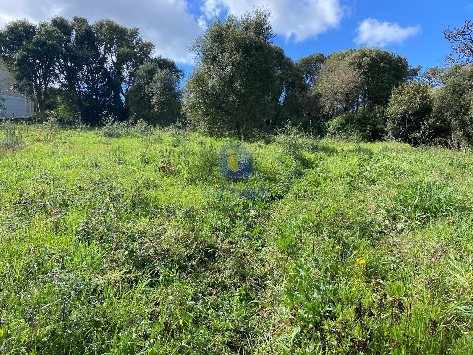 Terreno R�stico T0 - Salir de Matos, Caldas da Rainha, Leiria - Miniatura: 14/17