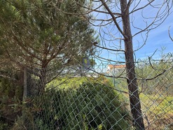 Terreno R�stico T0 - Nadadouro, Caldas da Rainha, Leiria - Miniatura: 5/14