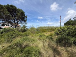 Terreno R�stico T0 - Nadadouro, Caldas da Rainha, Leiria - Miniatura: 8/14