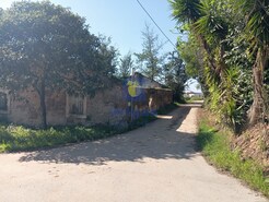 Ruina T0 - Carvalhal Benfeito, Caldas da Rainha, Leiria