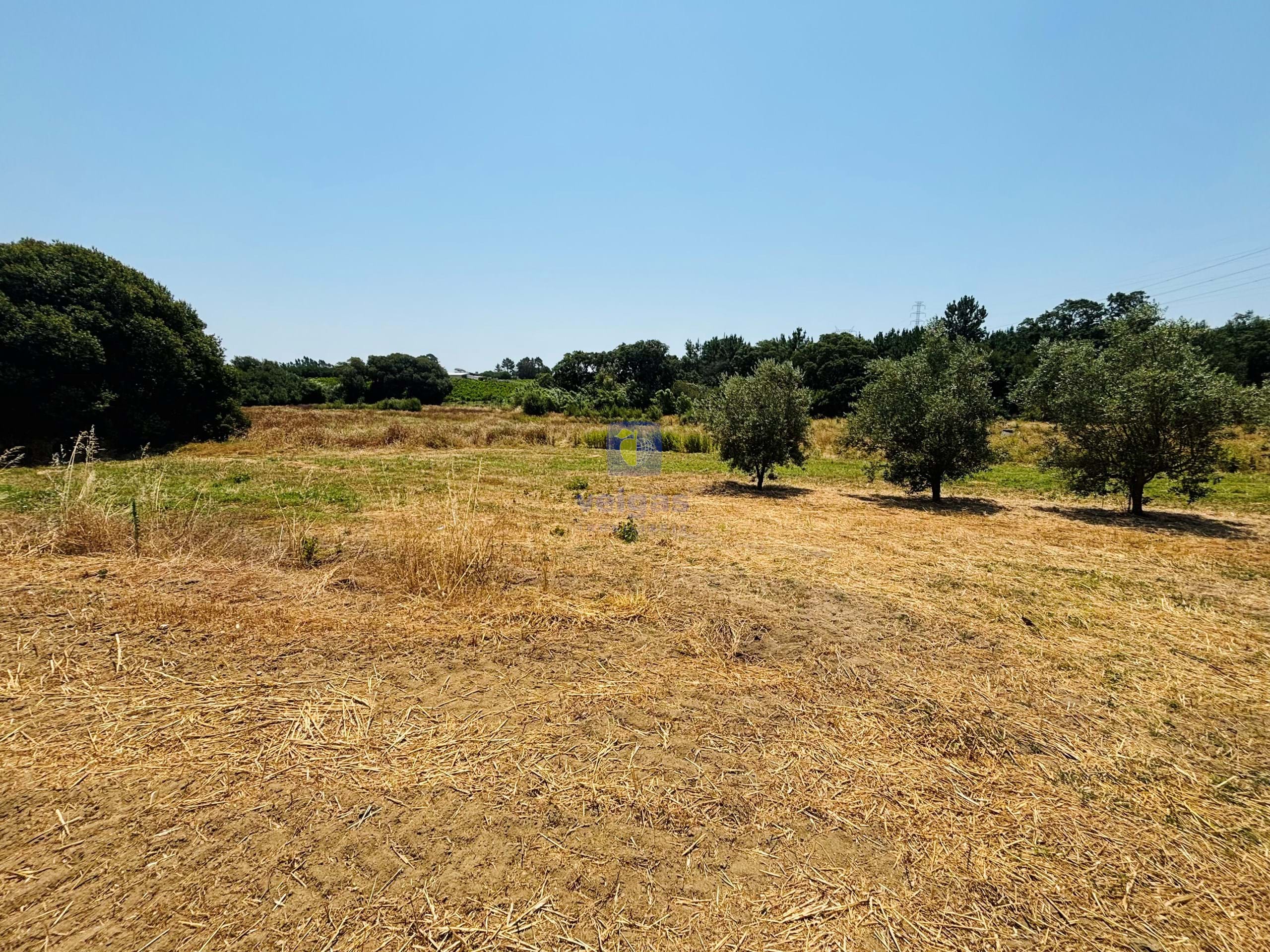 Terreno R�stico T0 - Alcoentre, Azambuja, Lisboa
