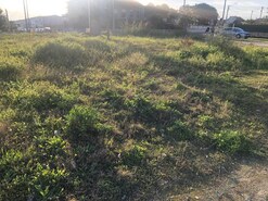 Terreno R�stico T0 - Vale de Santar�m, Santar�m, Santar�m - Miniatura: 1/11