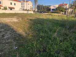 Terreno R�stico T0 - Vale de Santar�m, Santar�m, Santar�m - Miniatura: 3/11