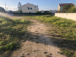 Terreno R�stico T0 - Vale de Santar�m, Santar�m, Santar�m - Miniatura: 4/11