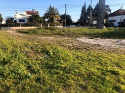 Terreno R�stico T0 - Vale de Santar�m, Santar�m, Santar�m - Miniatura: 6/11