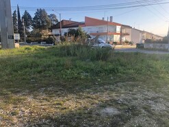 Terreno R�stico T0 - Vale de Santar�m, Santar�m, Santar�m - Miniatura: 8/11