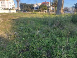 Terreno R�stico T0 - Vale de Santar�m, Santar�m, Santar�m - Miniatura: 9/11