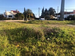 Terreno R�stico T0 - Vale de Santar�m, Santar�m, Santar�m - Miniatura: 10/11