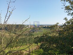 Ruina T0 - Carvalhal Benfeito, Caldas da Rainha, Leiria - Miniatura: 3/9