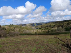 Moradia T2 - Alvorninha, Caldas da Rainha, Leiria - Miniatura: 9/12