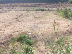 Terreno R�stico T0 - Salir de Matos, Caldas da Rainha, Leiria - Miniatura: 5/7
