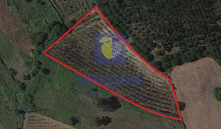Terreno R�stico T0 - Alvorninha, Caldas da Rainha, Leiria - Miniatura: 2/5