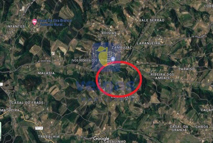 Terreno R�stico T0 - Alvorninha, Caldas da Rainha, Leiria - Miniatura: 4/5