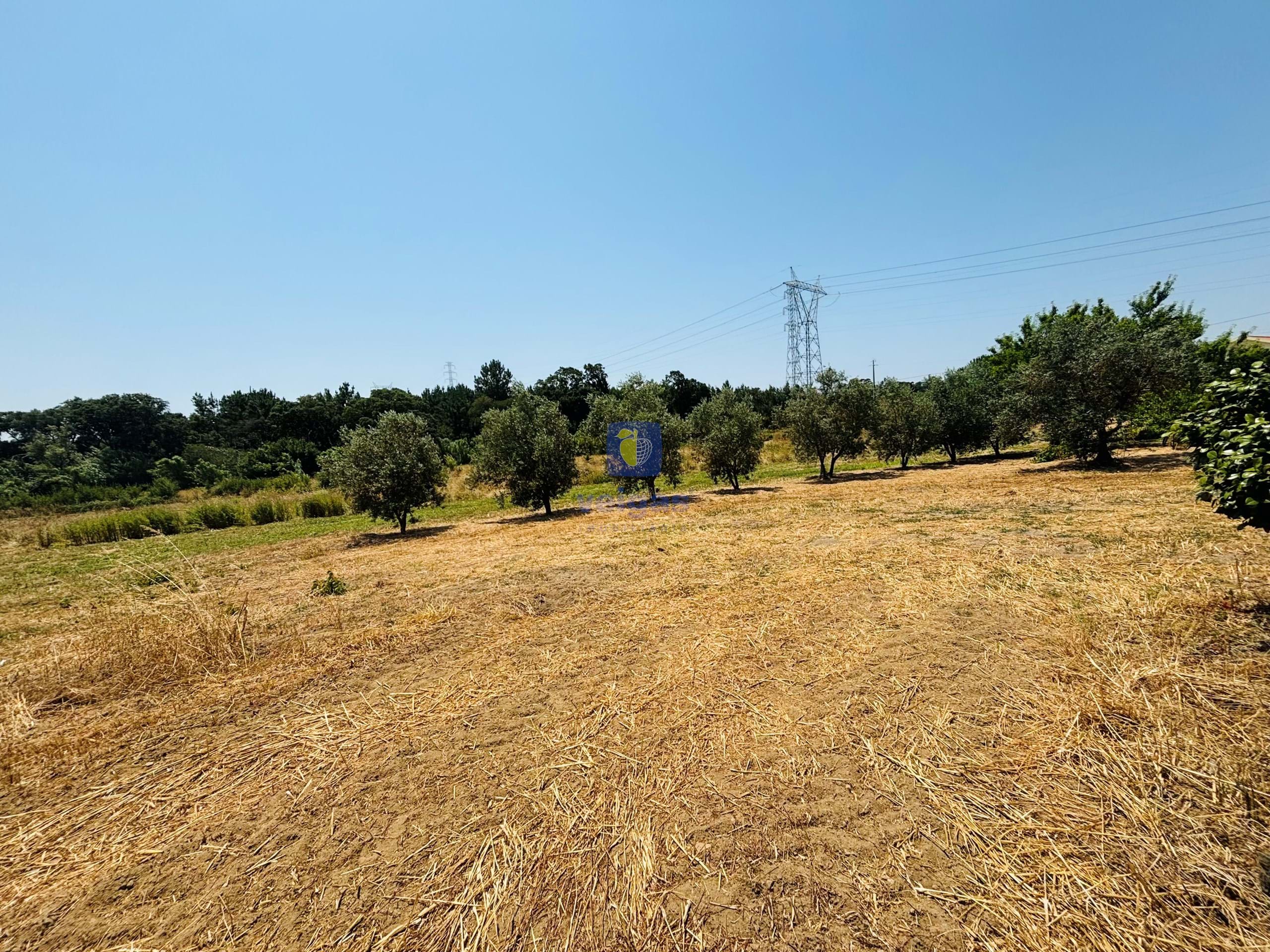 Terreno R�stico T0 - Alcoentre, Azambuja, Lisboa - Miniatura: 1/12