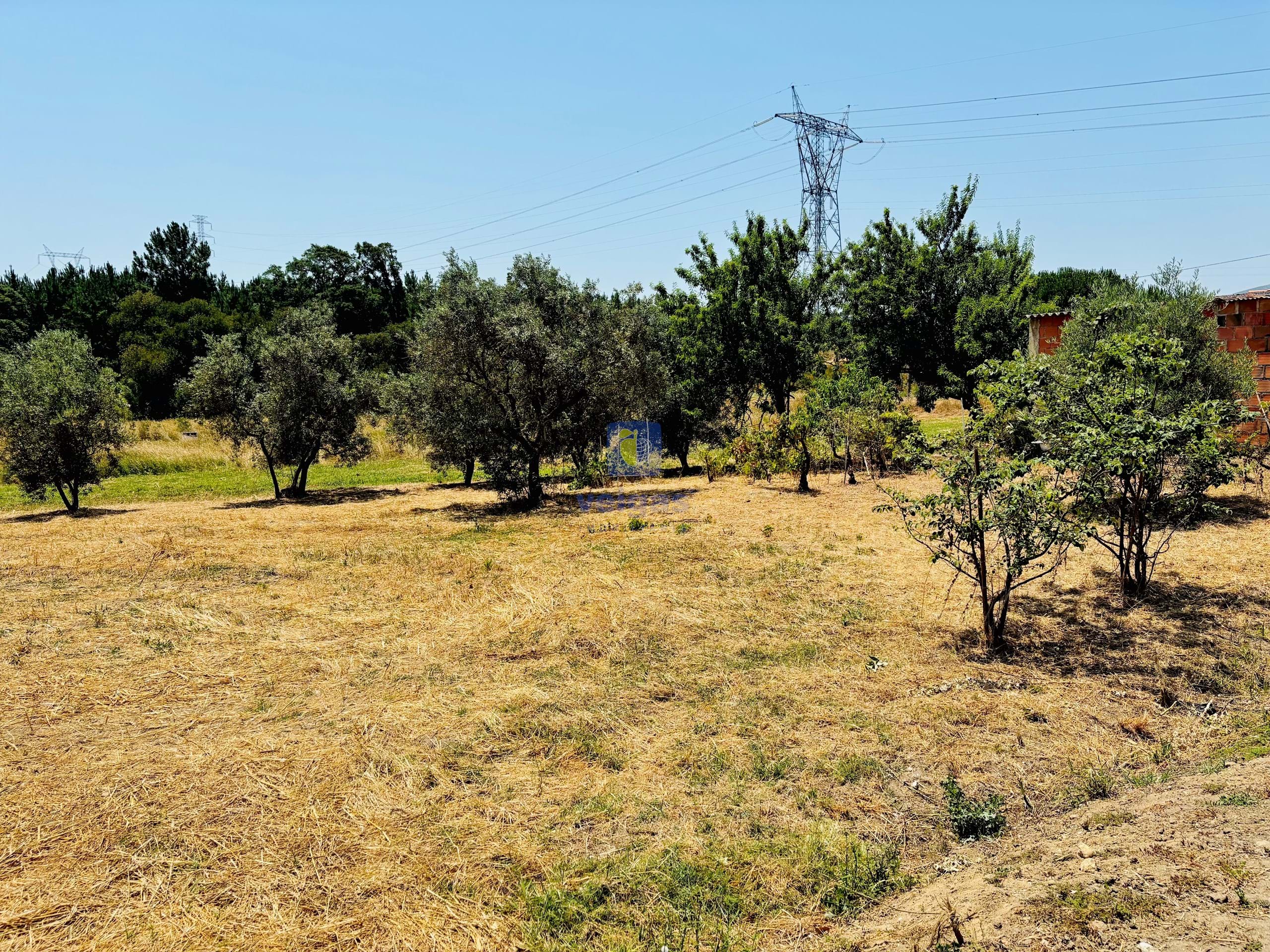 Terreno R�stico T0 - Alcoentre, Azambuja, Lisboa - Miniatura: 2/12