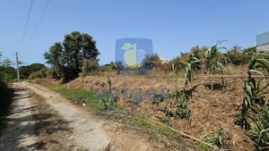 Terreno R�stico T0 - Gaeiras, �bidos, Leiria - Miniatura: 4/26