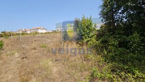 Terreno R�stico T0 - Gaeiras, �bidos, Leiria - Miniatura: 7/26