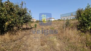 Terreno R�stico T0 - Gaeiras, �bidos, Leiria - Miniatura: 8/26