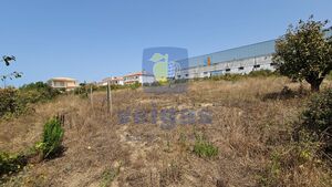 Terreno R�stico T0 - Gaeiras, �bidos, Leiria - Miniatura: 9/26