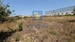 Terreno R�stico T0 - Gaeiras, �bidos, Leiria - Miniatura: 11/26