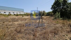 Terreno R�stico T0 - Gaeiras, �bidos, Leiria - Miniatura: 14/26