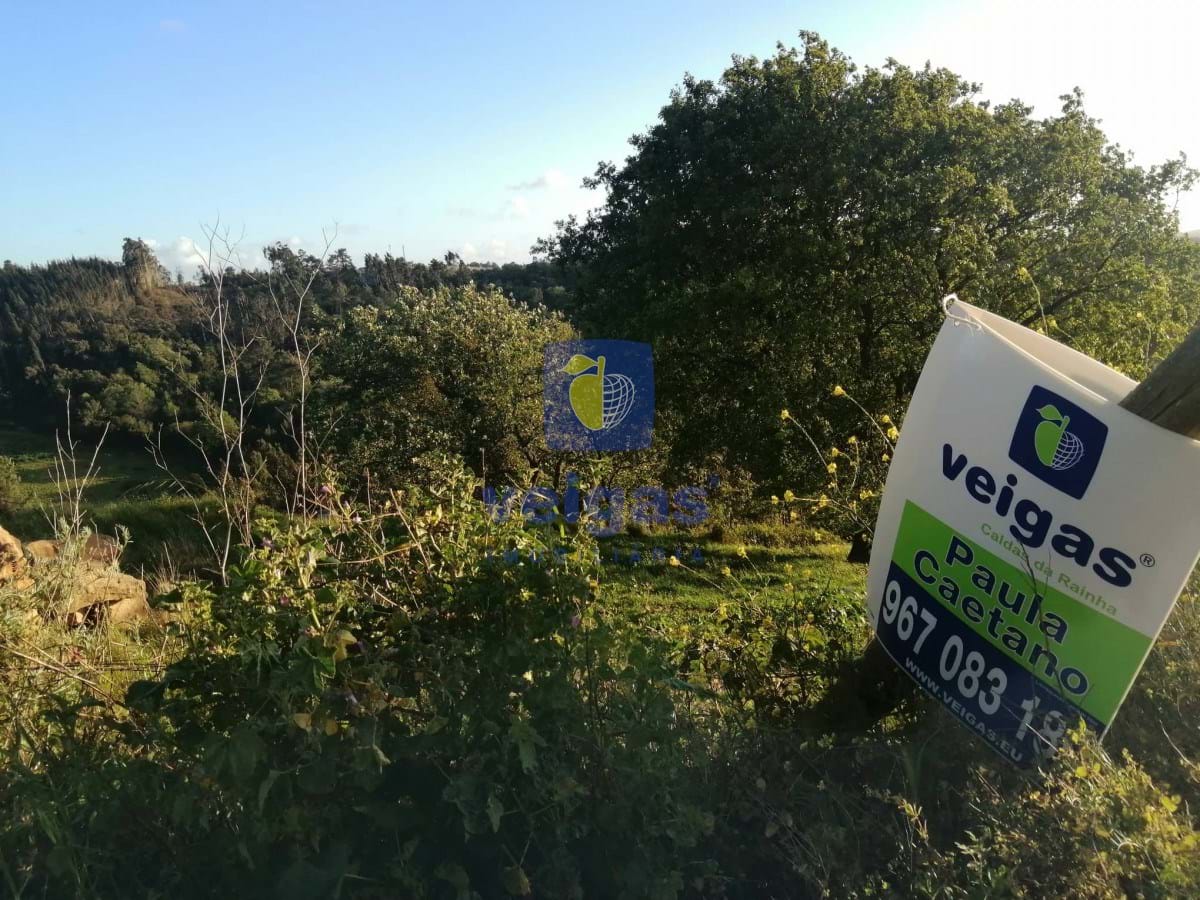 Terreno R�stico T0 - Alvorninha, Caldas da Rainha, Leiria - Imagem grande