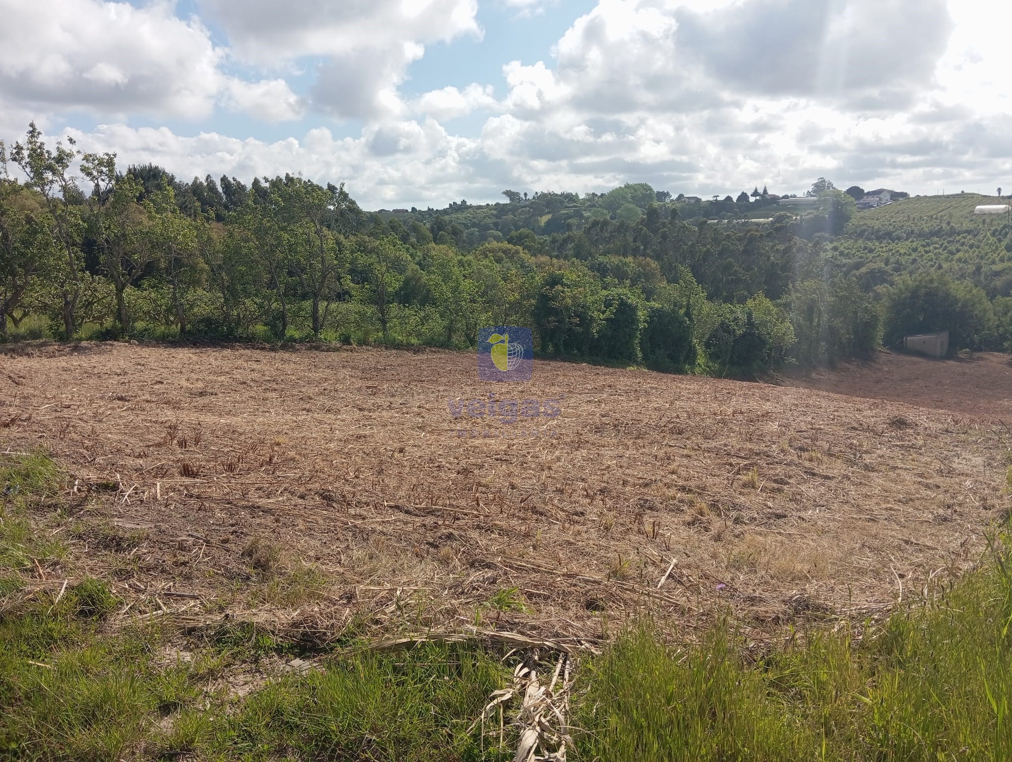 Terreno R�stico T0 - Carvalhal, Bombarral, Leiria - Imagem grande