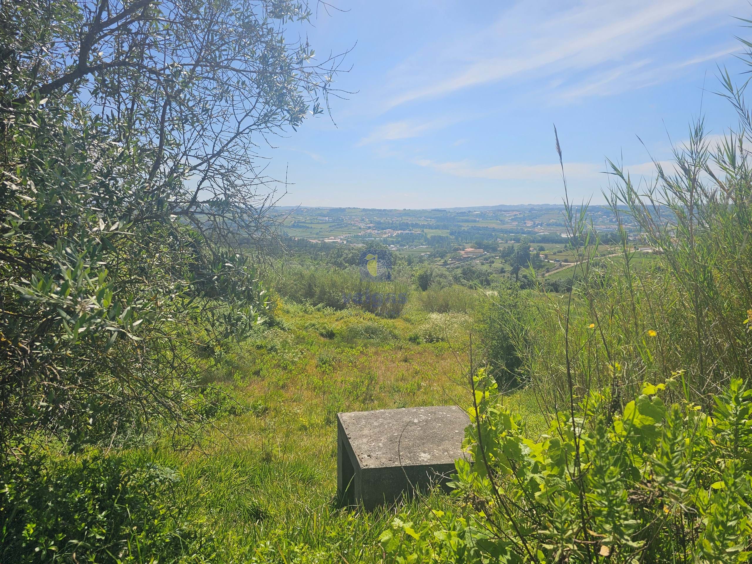 Terreno R�stico T0 - Aljubarrota, Alcoba�a, Leiria - Imagem grande