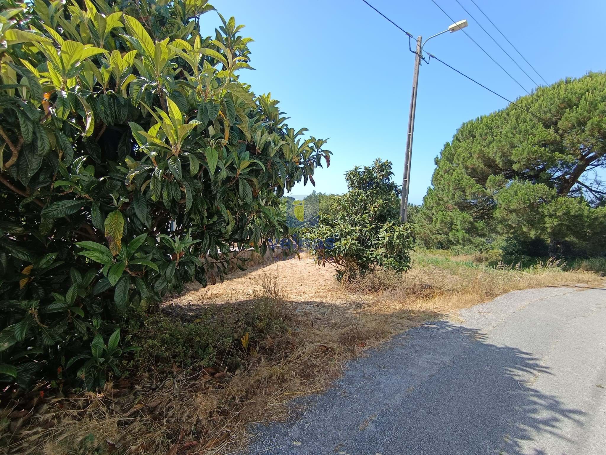 Terreno R�stico T0 - Tornada, Caldas da Rainha, Leiria - Imagem grande