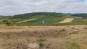 Terreno Rstico T0 - Rolia, Bombarral, Leiria