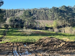 Terreno Rstico T0 - Alfeizero, Alcobaa, Leiria - Miniatura: 1/9