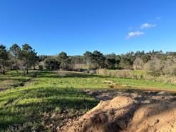 Terreno Rstico T0 - Alfeizero, Alcobaa, Leiria - Miniatura: 2/9