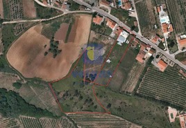 Moradia T3 - Caldas da Rainha, Caldas da Rainha, Leiria - Miniatura: 20/21
