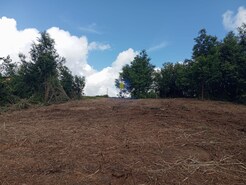 Terreno Rstico T0 - Carvalhal, Bombarral, Leiria - Miniatura: 5/7
