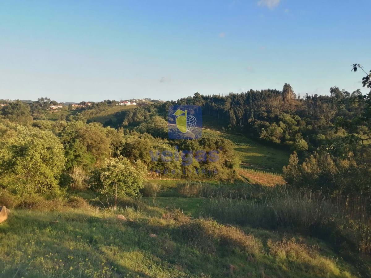 Terreno R�stico T0 - Alvorninha, Caldas da Rainha, Leiria - Miniatura: 1/5