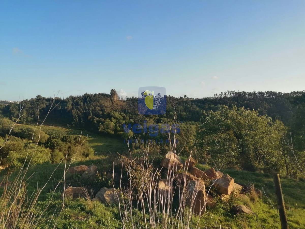 Terreno R�stico T0 - Alvorninha, Caldas da Rainha, Leiria - Miniatura: 2/5