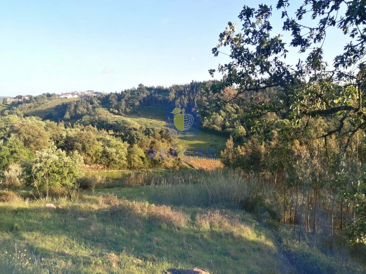 Terreno R�stico T0 - Alvorninha, Caldas da Rainha, Leiria - Miniatura: 4/5