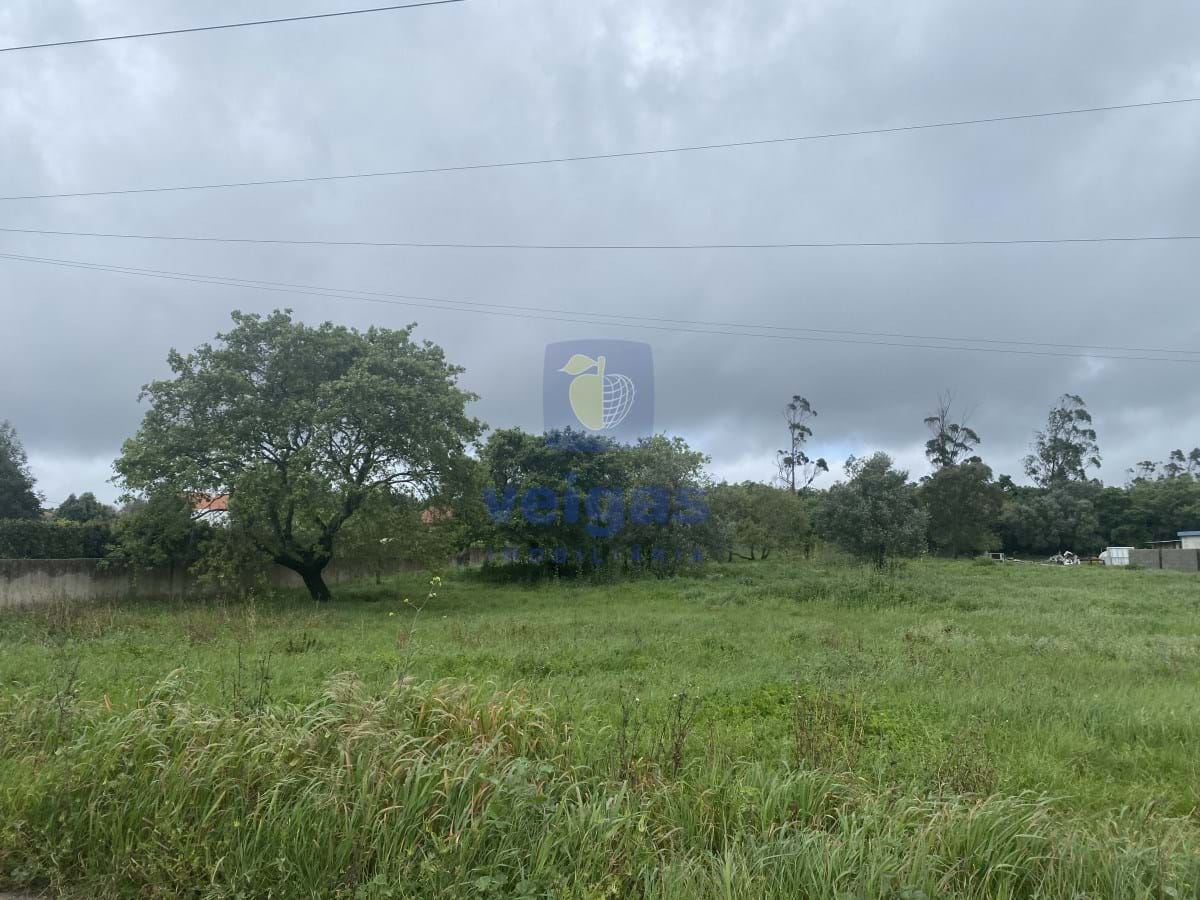 Terreno R�stico T0 - Turquel, Alcoba�a, Leiria - Miniatura: 3/16