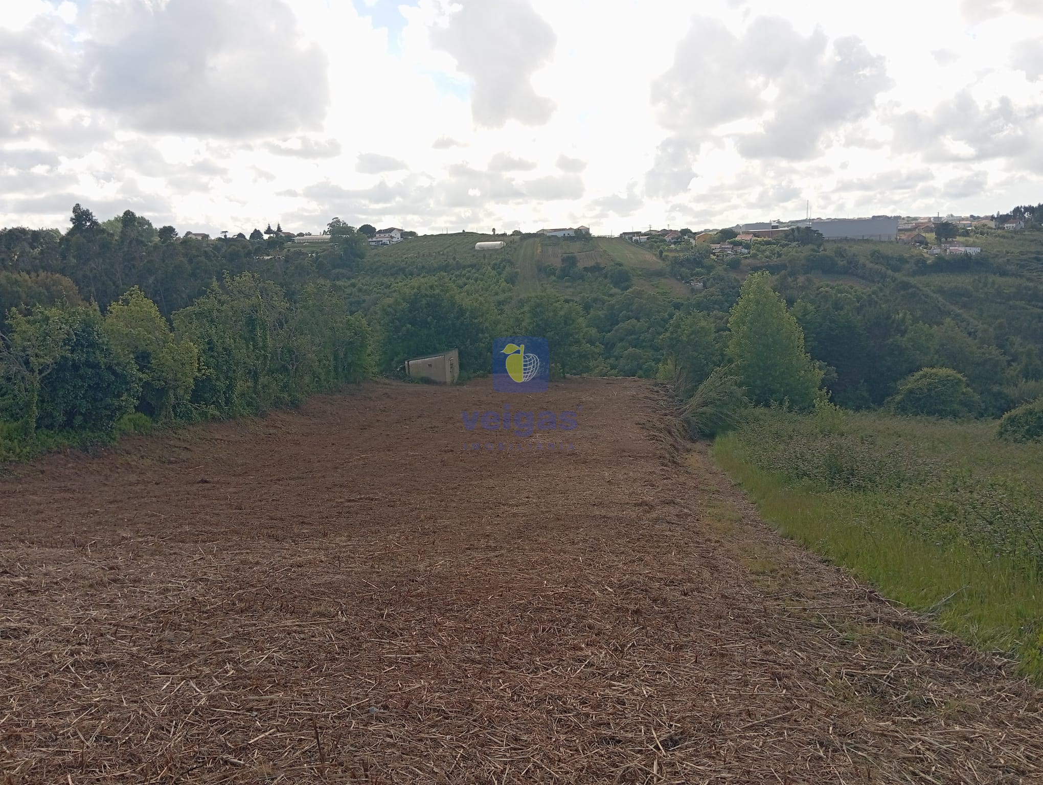 Terreno R�stico T0 - Carvalhal, Bombarral, Leiria - Miniatura: 6/7