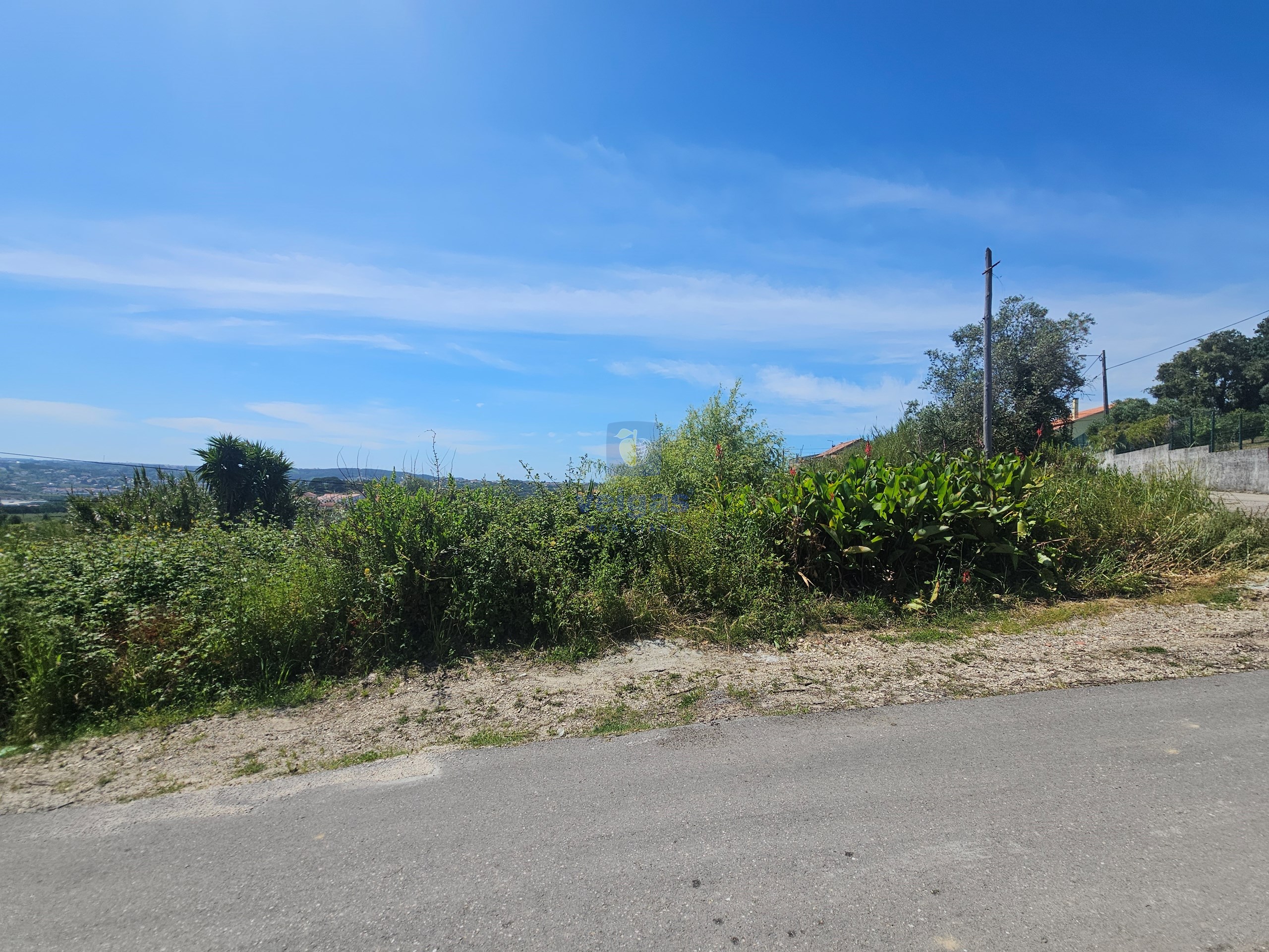 Terreno R�stico T0 - Aljubarrota, Alcoba�a, Leiria - Miniatura: 2/9