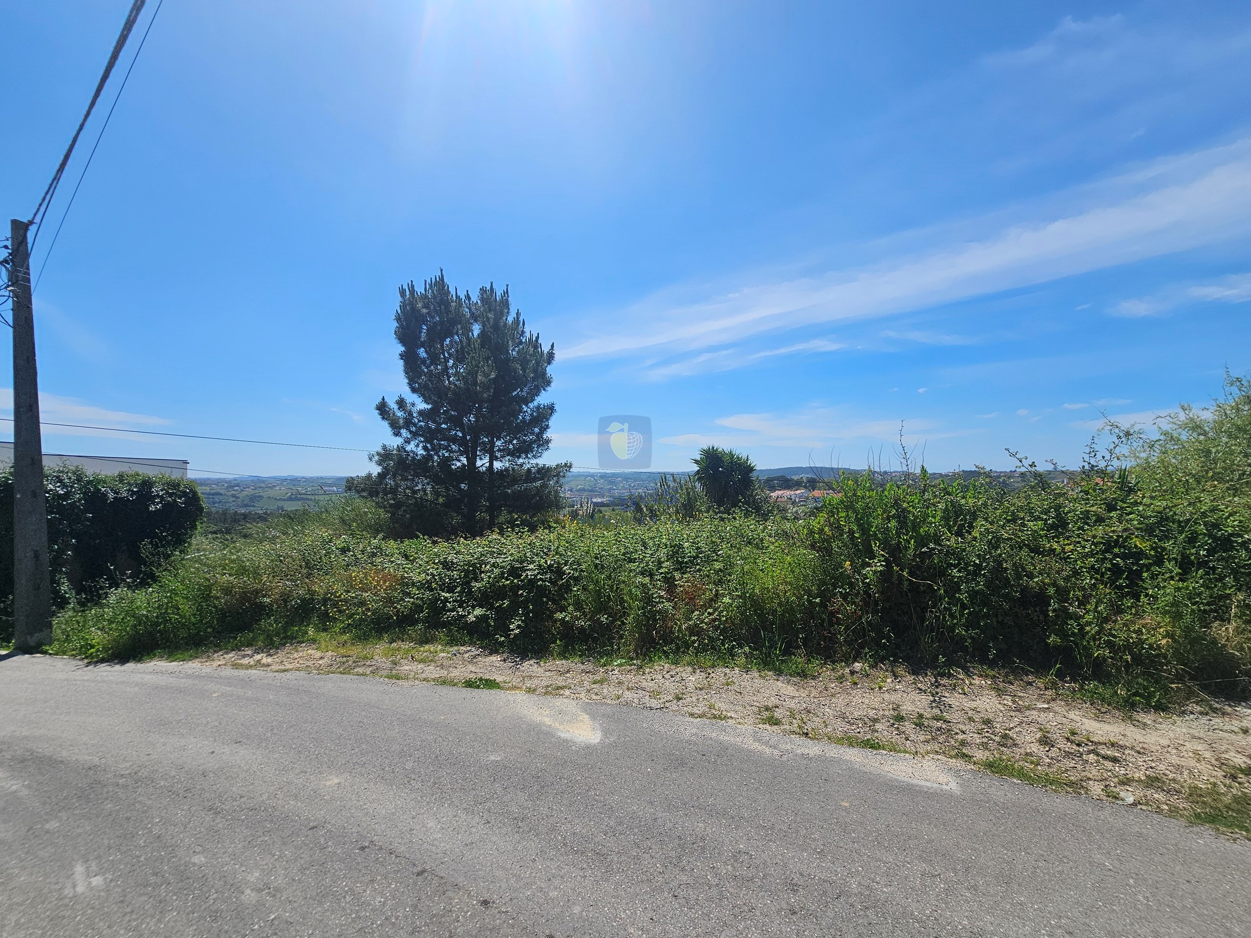 Terreno R�stico T0 - Aljubarrota, Alcoba�a, Leiria - Miniatura: 3/9